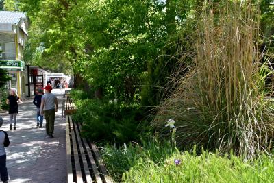 Прикрепленное изображение: 138.JPG